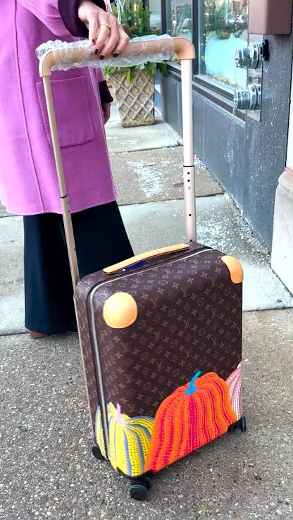 Luggage Bags